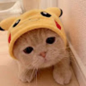 Meet your Posher, Isabella